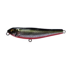 Wobbler Megabass DOG-X Jr. COAYU col. M RB SHAD