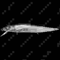 Воблер Megabass VISION ONETEN Jr. RACING col. RACING SHAD