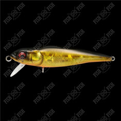 Wobbler Megabass FX6.6 col. GG MEGABASS KINKURO