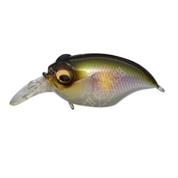 Wobbler Megabass New SR-X GRIFFON col. PM SETSUKI AYU