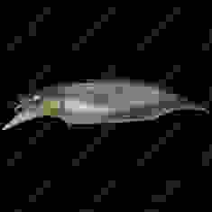 Воблер Megabass ELBO col. WAGIN HASU III