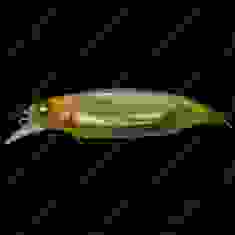Воблер Megabass ELBO col. MEDAKA