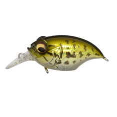 Wobbler Megabass New SR-X GRIFFON col. GG BASS