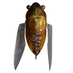 Wobbler Megabass TINY SIGLETT col. HARU ZEMI
