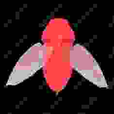 Воблер Megabass BEETLE-X col. KILLER PINK