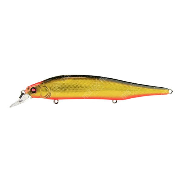 Wobbler Megabass ITO SHINER col. SPOT KINKURO