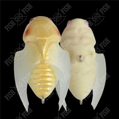 Wobbler Megabass BEETLE-X HOVER CRAWL col. FF GLOW SHIROHITORI