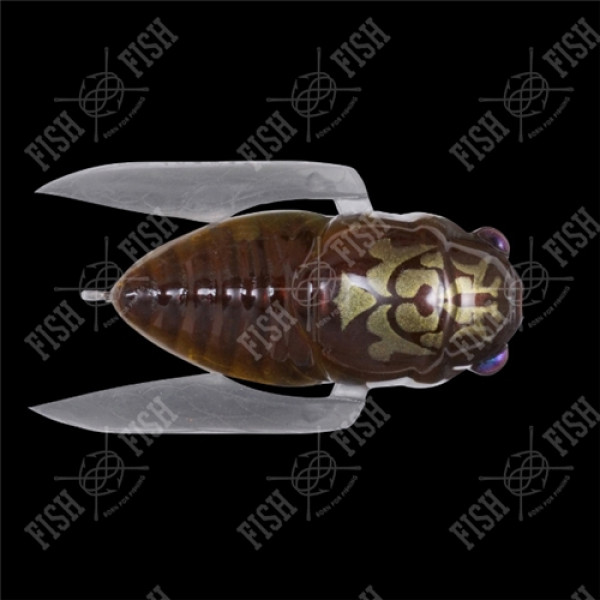Wobbler Megabass GRAND SIGLETT col. FF HIGURASHI