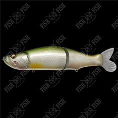 Wobbler Megabass I-SLIDE 262T col. TARPON