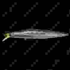 Воблер Megabass MARINE GANG 120F col. GG IWASHI