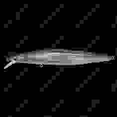 Воблер Megabass MARINE GANG 120F col. GG BORA