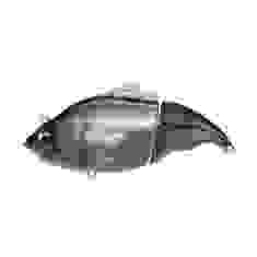 Воблер Megabass VATALION SW M KOHADA