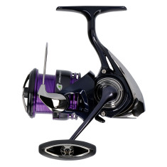 Daiwa 24 Prorex X LT 3000-C reel
