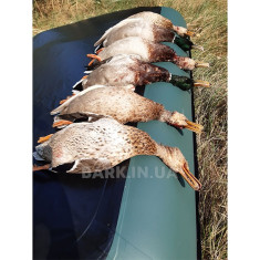 B-260P Надувная лодка Bark двухместная с привальным брусом, гребная