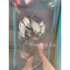 Надувная лодка ПВХ Bark B-250N гребная, двухместная со слань-книжкой