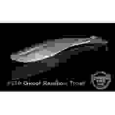 Silicone Lunker City Swimfish 4 / BG 5 "# 210 Ghost Rainbow Trout