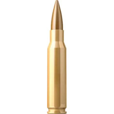 Патрон Sellier & Bellot Training кал.308 Win куля FMJ маса 11,7 г/180 гран. Поч. швидкість 735 м/с.