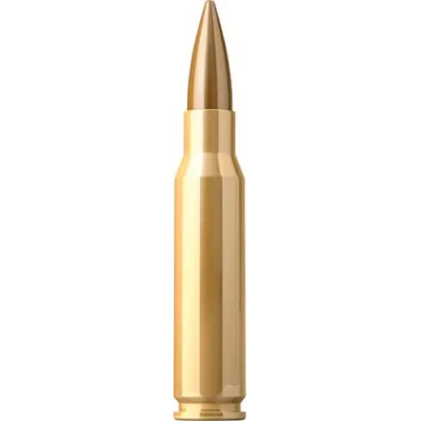 Патрон Sellier & Bellot Training кал.308 Win пуля FMJ масса 11,7 грамм/ 180 гран. Нач. скорость 735 м/с.