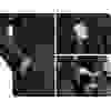 Костюм Norfin Feeder M -10°C / 8000мм Костюм Norfin Feeder M -10°C / 8000мм