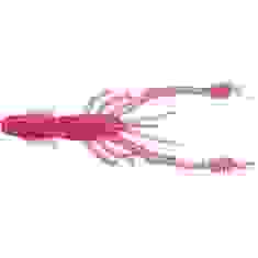 Силікон Reins Ring Shrimp 4" 443 Pink Sardine (8 шт/уп.)