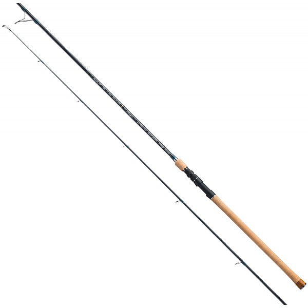 Спиннинг Tenryu Rayz Integral RZI106HH 3.20m 12-50g