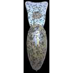 Воблер Smith Sibo-Cra DR-F 34mm 3.2g #05 Horonigarate