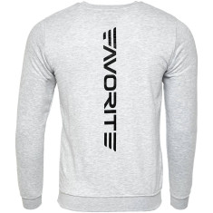 Реглан Favorite SM6 (світшот) S шестиуголь. лого ц:gray Реглан Favorite SM6 (світшот) S шестиуголь. лого ц:gray