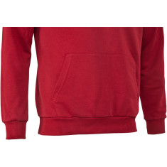 Реглан Favorite Perch L к:red