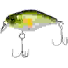 Lure Jackall Chubby 38mm 4g Ghost Ayu Floating