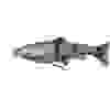 Силикон Savage Gear 4D Line Thru Trout MS 150mm 40.0g #01 Rainbow (поштучно)