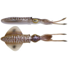Силікон Savage Gear 3D Swim Squid 95mm 5.0g Cuttlefish (4 шт/уп)
