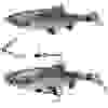 Оснащення Savage Gear SS Corkscrew Stinger 3G 1X #2/0 35kg Red + BN (2 шт/уп)