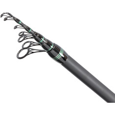 Вудлище болонське Brain Phantom 4.00m