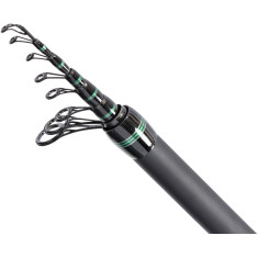 Вудлище болонське Brain Phantom 5.00m