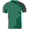 Теніска поло Brain XXXL к:green