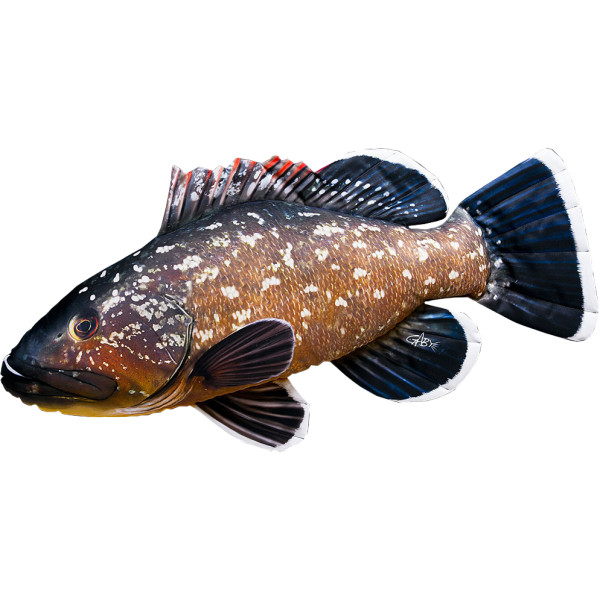 Подушка 3KBaits Каменный окунь NEW 100х45см