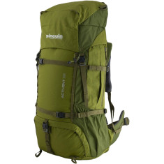 Рюкзак Pinguin Activent 55 (2020) ц:green