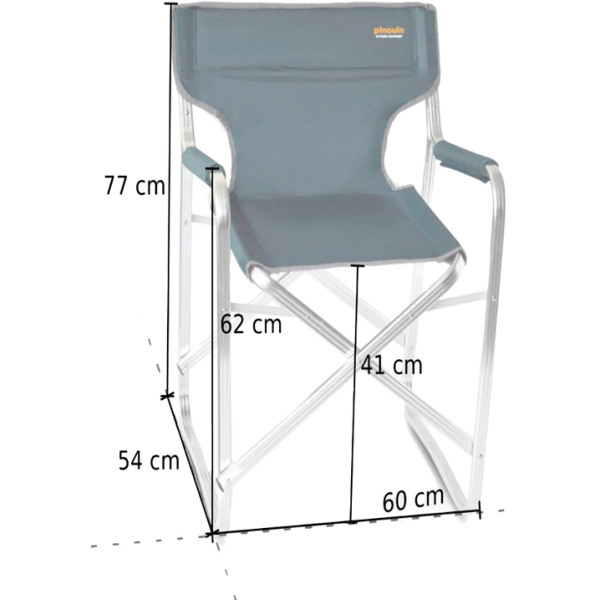 Кресло Pinguin Director Chair ц:petrol