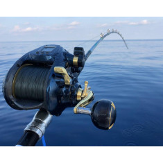 Катушка Shimano Beastmaster 9000 A 12+2BB