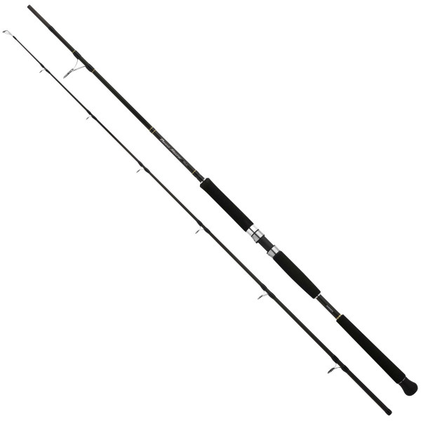 Спінінг Shimano Beastmaster Pilk 2.40m 100-200g