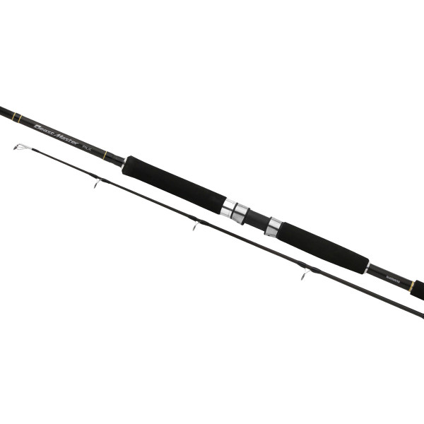 Спінінг Shimano Beastmaster Pilk 2.40m 100-200g