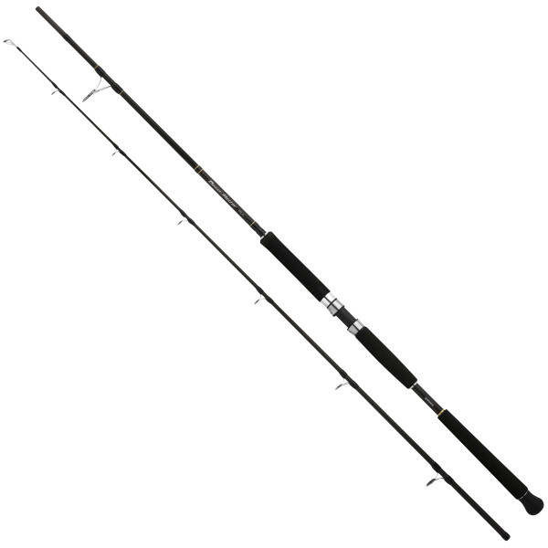 Спінінг Shimano Beastmaster Pilk 2.40m 150-300g