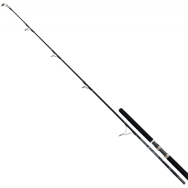 Спінінг Shimano Speedcast Kaibutsu 2.28 m max 120g