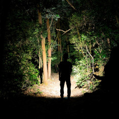 Фонарь Olight Arkfeld. Black