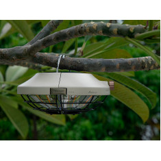 Фонарь Olight Haloop. Clay beige