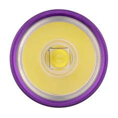 Фонарь-брелок Olight I5R EOS. Dragon & phoenix purple