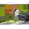 Фонарь Olight Warrior 3S Camo