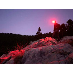 Фонарь Olight Perun 2 Mini. Od Green