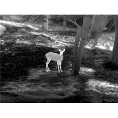 Прицел тепловизионный Guide TU450 3,2-12,8x50 400x300@17μm VOx 1400м Прицел тепловизионный Guide TU450 3,2-12,8x50 400x300@17μm VOx 1400м