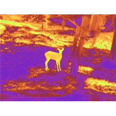 Прицел тепловизионный Guide TU450 3,2-12,8x50 400x300@17μm VOx 1400м Прицел тепловизионный Guide TU450 3,2-12,8x50 400x300@17μm VOx 1400м